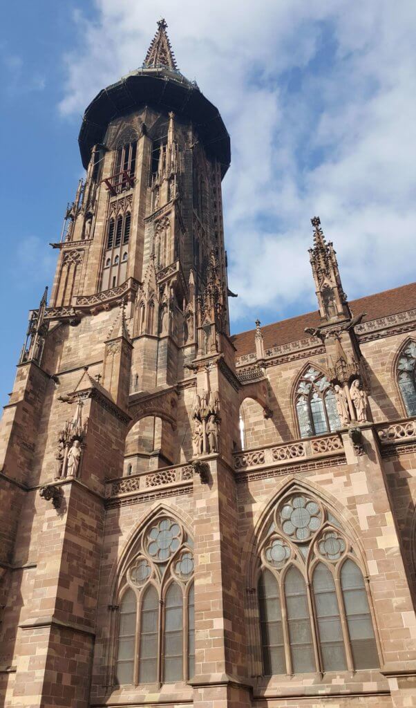 Das Freiburger Münster