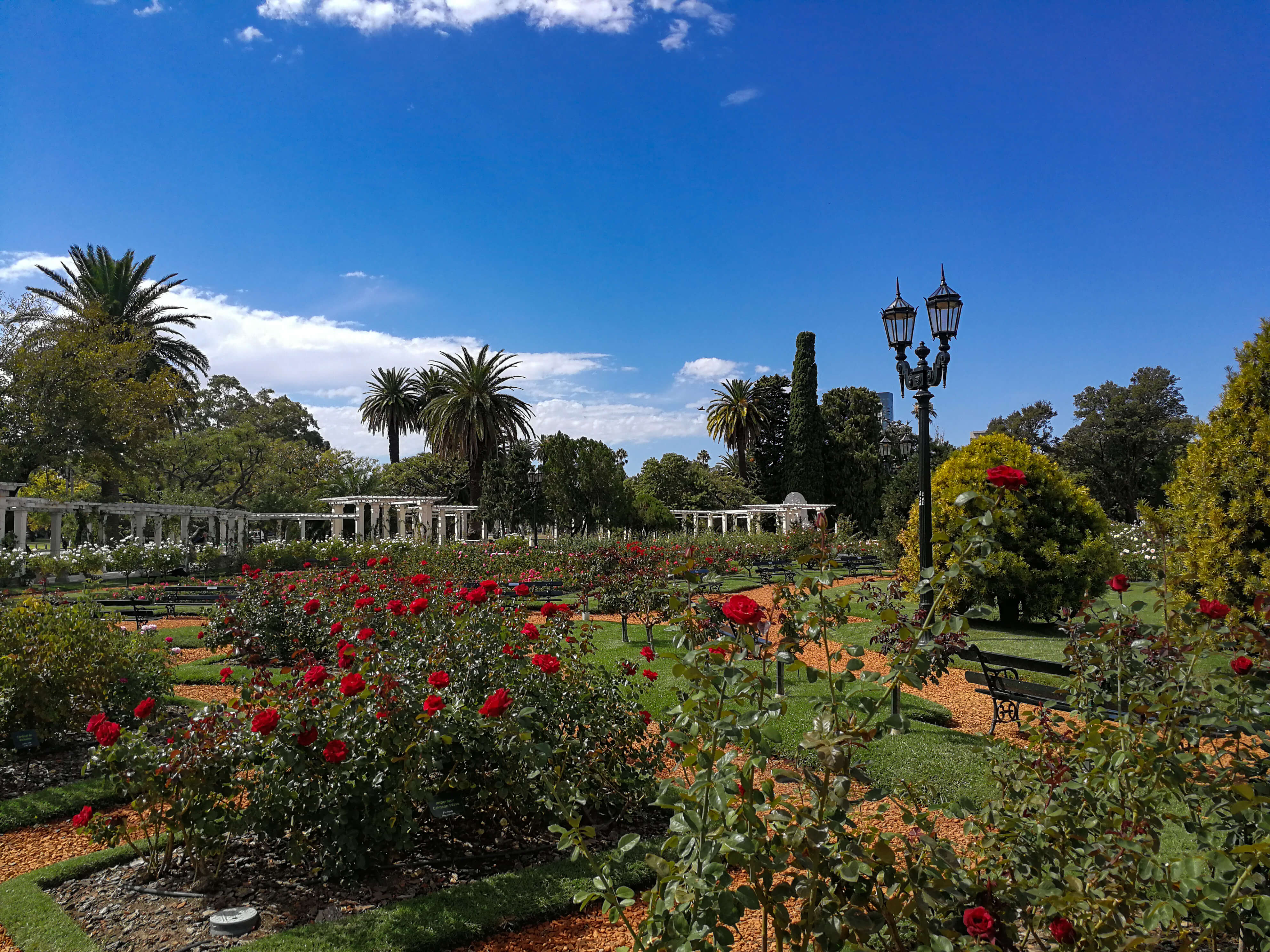 botanischer Garten in Palermo - ON MY JOURNEY