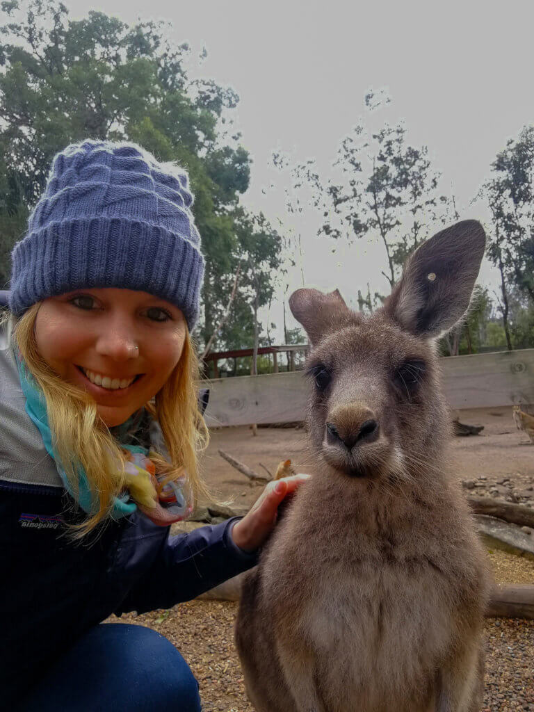 Känguru-Selfie