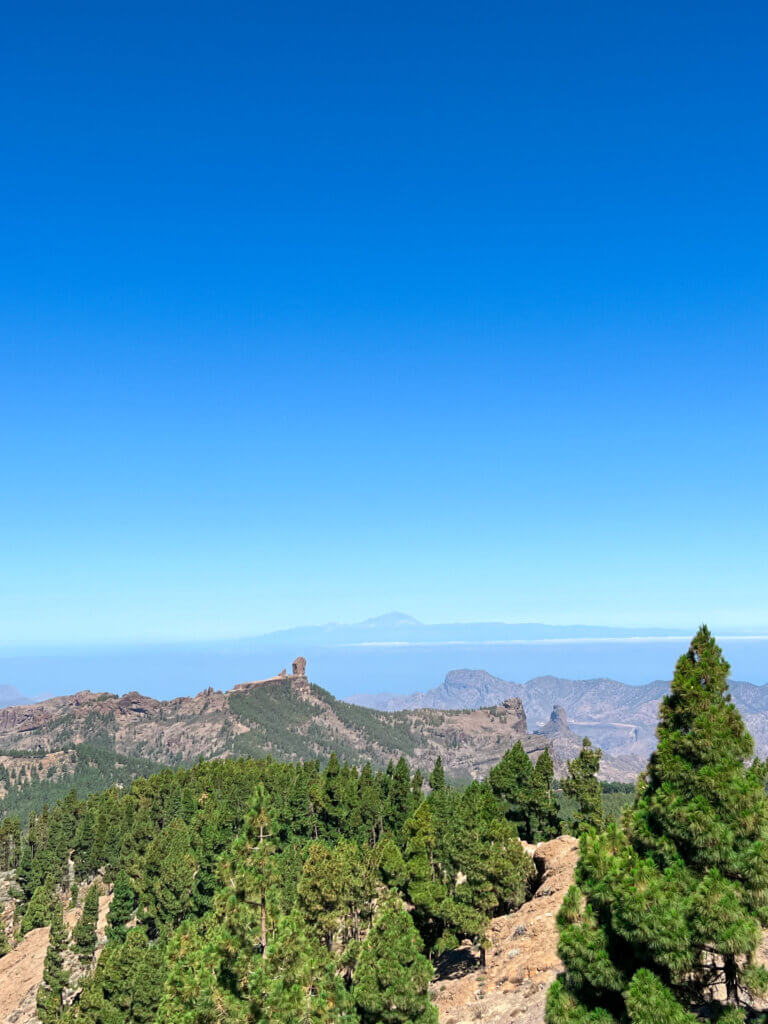 Die Landschaft am Pico de las Nieves - im Hintergrund Teneriffa