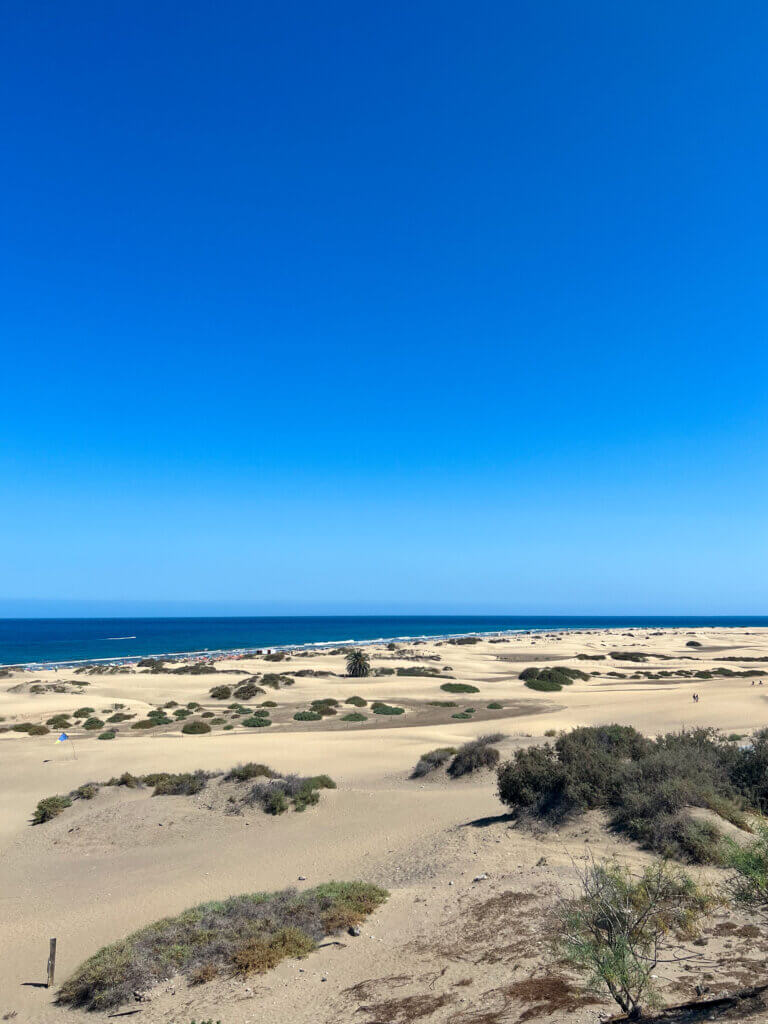 die Dünen von Maspalomas - eines meiner 5 Highlights in Gran Canaria
